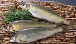 蕾蕾吃瓜鱼,揭秘网红美食背后的故事