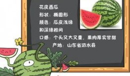 读我心声我吃瓜,揭秘网络舆论背后的真实故事