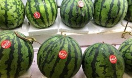 外国到中国吃瓜,外国游客的中国“吃瓜”体验