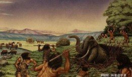 恐怖直立猿吃瓜,恐怖直立猿的神秘食瓜之谜