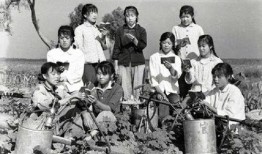 知青下乡吃瓜,知青下乡的甜蜜回忆