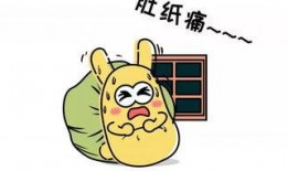 清贫吃瓜,揭秘平民百姓的日常趣味生活