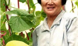 吴明珠自由吃瓜,自由吃瓜，畅享人生百态