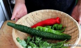 老虎菜吃瓜网,揭秘网络美食新潮流