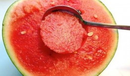 勺子吃瓜技巧是什么,夏日消暑新体验