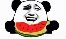 阿周吃瓜群众,揭秘娱乐圈幕后风云