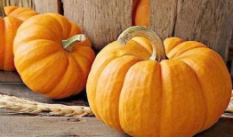 不是吃瓜是吃地瓜的意思,探寻“不是吃瓜是吃地瓜”的美食奥秘