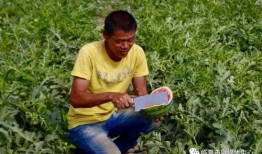 吃瓜群众大头头,揭秘娱乐圈幕后风云