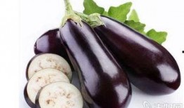 茭瓜吃茄子好吗,营养互补的佳肴探索