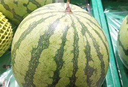 大瓜都在吃吗,全民皆知的秘密，都在这里揭秘