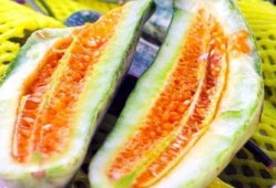 网暴热门吃瓜,揭秘热门事件背后的真相与反思