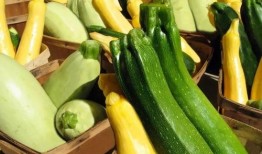 吃瓜的动作多,揭秘吃瓜动作背后的趣味与智慧