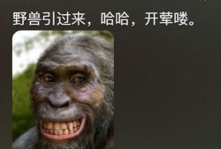 恐怖直立猿吃瓜,恐怖直立猿的神秘食瓜之谜