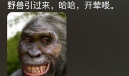 恐怖直立猿吃瓜,恐怖直立猿的神秘食瓜之谜