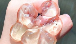 痔疮吃白瓜好吗,白瓜的养生功效解析