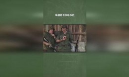 吃瓜被编剧嫌弃,吃瓜群众为何被嫌弃？