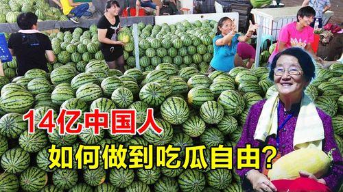 中国吃瓜自由现状,全民娱乐时代的现象解析