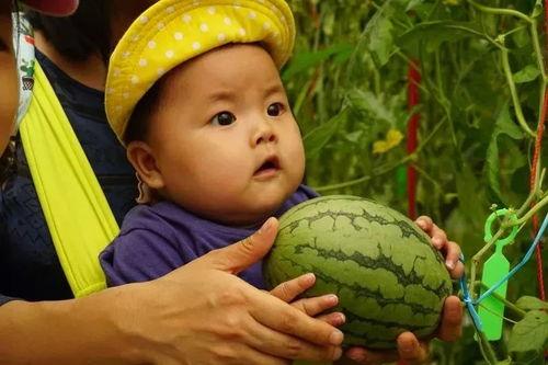 亲子吃瓜欢乐时刻,共享吃瓜快乐瞬间