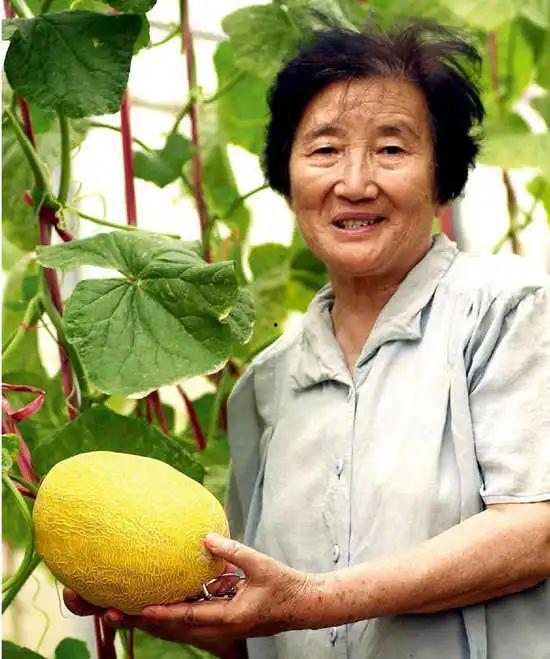 吴明珠自由吃瓜,自由吃瓜，畅享人生百态